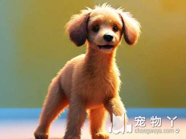 牧羊犬是德国牧羊犬吗？